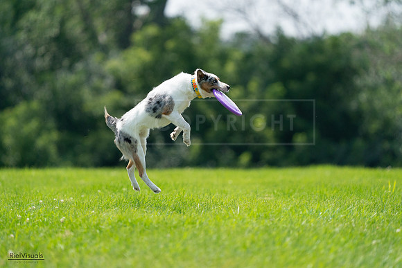 RielVisuals_20240728_130551_SJR05032