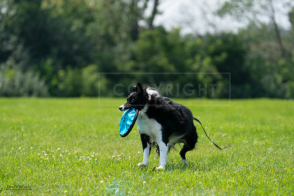 RielVisuals_20240728_124645_SJR04671