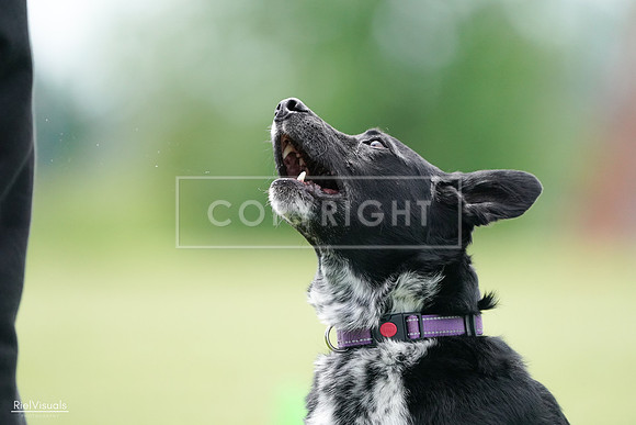 RielVisuals_20240525_124738_SJR01181