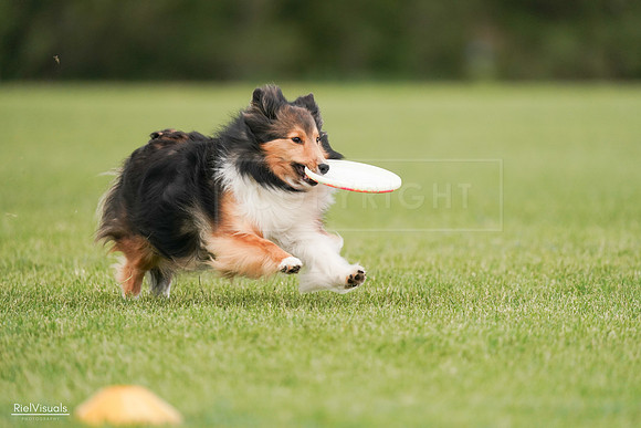 RielVisuals_20240527_140926_SJR01657