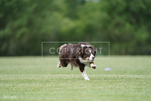 RielVisuals_20240525_090326_SJR09450