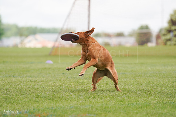 RielVisuals_20240527_141128_SJR01861