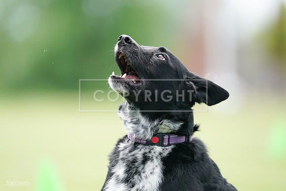 RielVisuals_20240525_124743_SJR01193