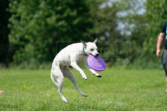 RielVisuals_20240728_120603_SJR02904