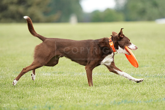 RielVisuals_20240527_140328_SJR01323