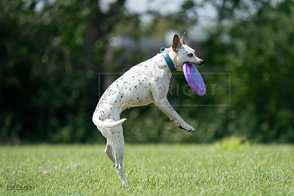 RielVisuals_20240728_144201_SJR08923