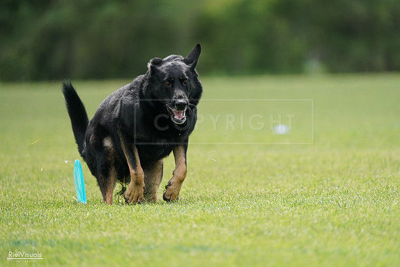 RielVisuals_20240527_141302_SJR02020