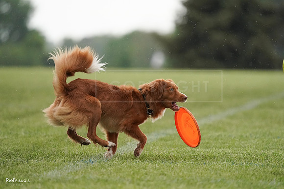 RielVisuals_20240526_093051_SJR00246