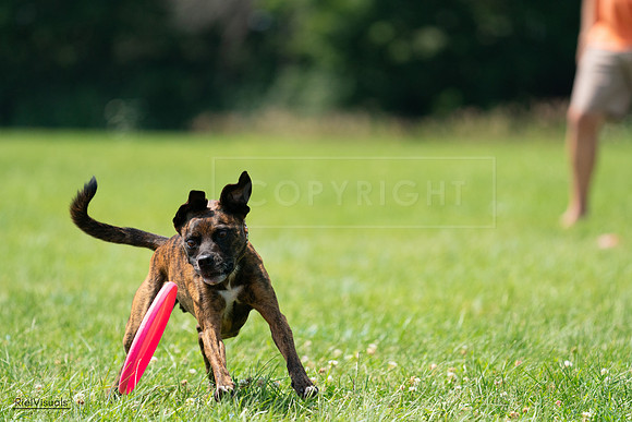 RielVisuals_20240728_124100_SJR04519