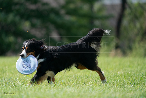 RielVisuals_20240728_144441_SJR08999