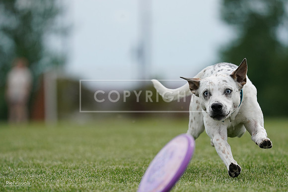 RielVisuals_20240525_160430_SJR03413