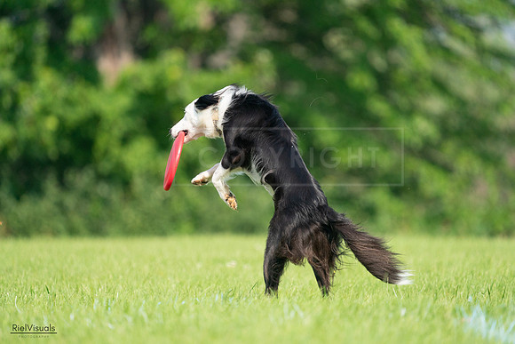 RielVisuals_20240727_092630_SJR06385