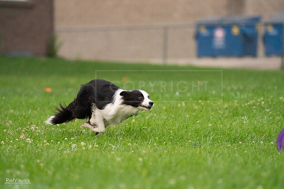 RielVisuals_20240722_194528_SJR02065