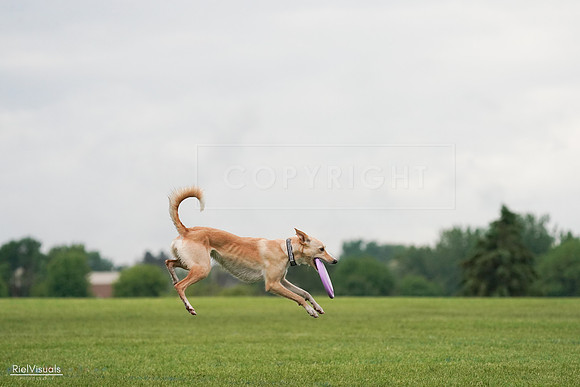 RielVisuals_20240527_110819_SJR03196