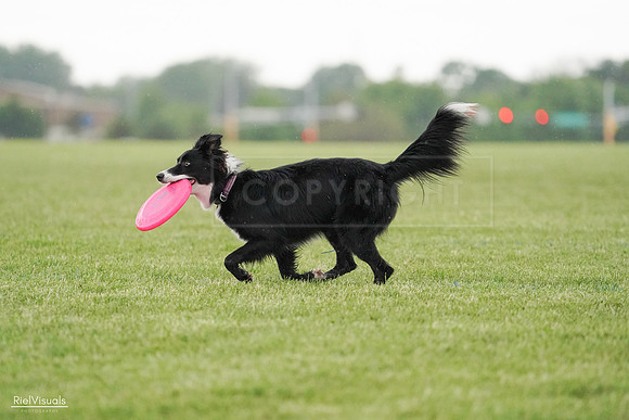 RielVisuals_20240526_095252_SJR01234
