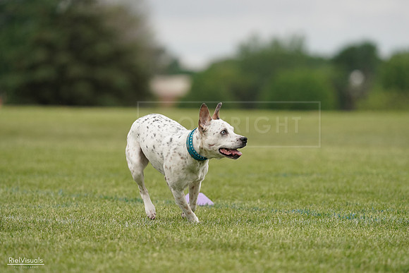 RielVisuals_20240526_134211_SJR08726
