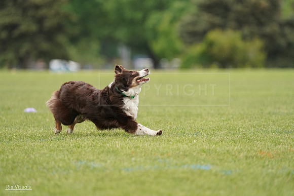 RielVisuals_20240527_132355_SJR09601