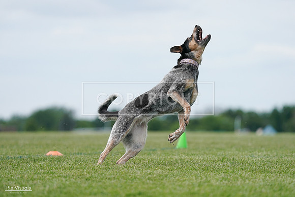 RielVisuals_20240525_125129_SJR01372