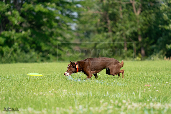 RielVisuals_20240727_093627_SJR06902