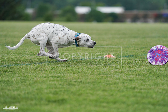 RielVisuals_20240525_135357_SJR09830