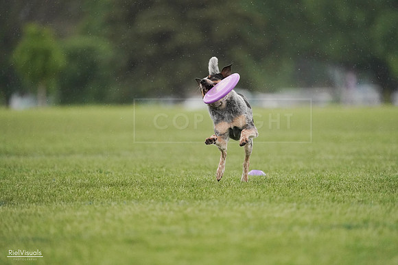 RielVisuals_20240526_094747_SJR01039