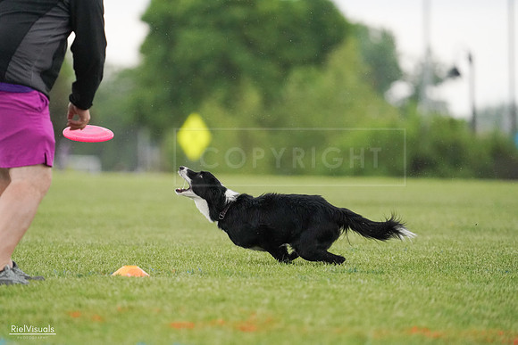 RielVisuals_20240526_095310_SJR01262
