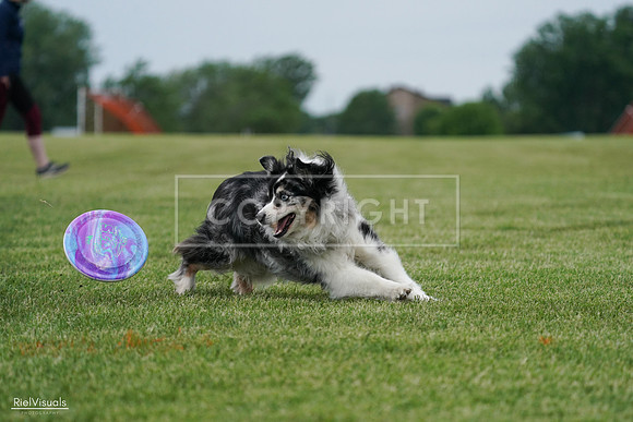 RielVisuals_20240525_163151_SJR04801