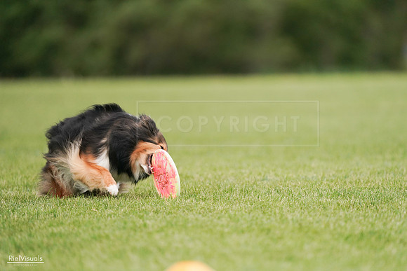 RielVisuals_20240527_140925_SJR01650