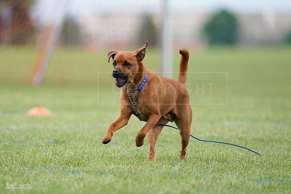 RielVisuals_20240527_141921_SJR02336