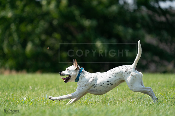 RielVisuals_20240728_144222_SJR08956