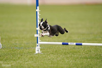 RielVisuals_20240527_142632_SJR02730