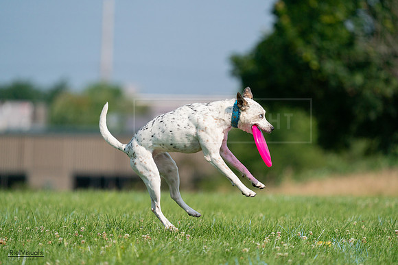 RielVisuals_20240727_095442_SJR08024