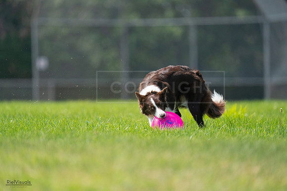 RielVisuals_20240727_115535_SJR04280