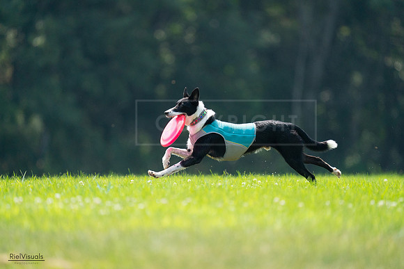 RielVisuals_20240727_120353_SJR04635