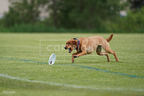 RielVisuals_20240525_160916_SJR03588