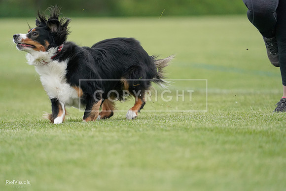 RielVisuals_20240525_164525_SJR05356