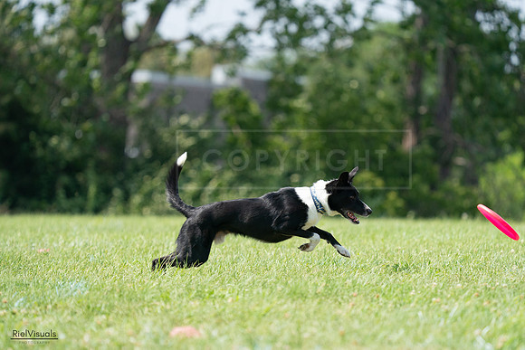 RielVisuals_20240728_144027_SJR08864