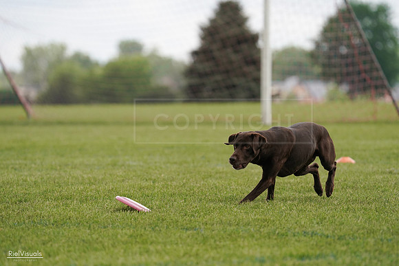 RielVisuals_20240527_140510_SJR01364