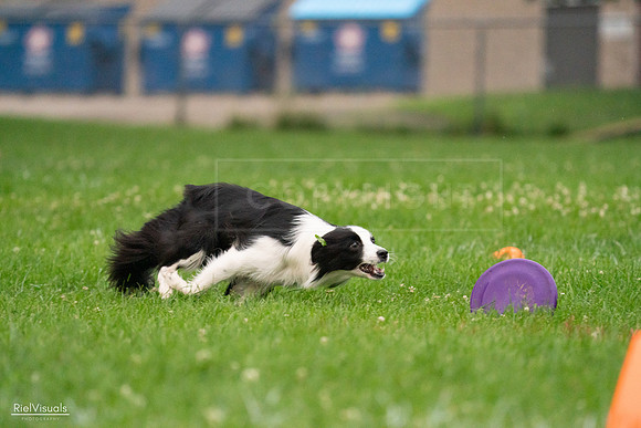 RielVisuals_20240722_194528_SJR02069