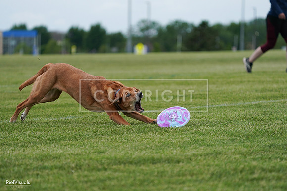 RielVisuals_20240525_161756_SJR03979