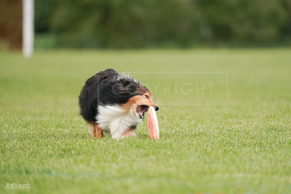RielVisuals_20240527_140947_SJR01707