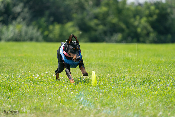 RielVisuals_20240728_123622_SJR04333