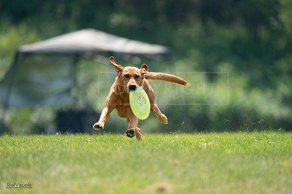 RielVisuals_20240727_122424_SJR05490