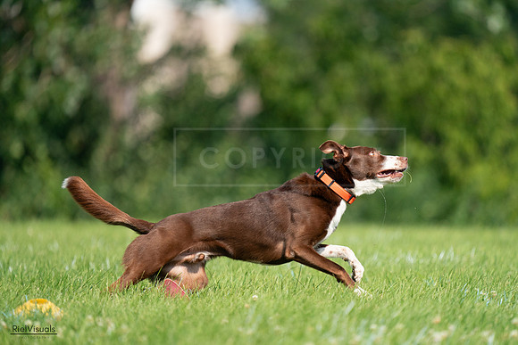 RielVisuals_20240727_100724_SJR08608