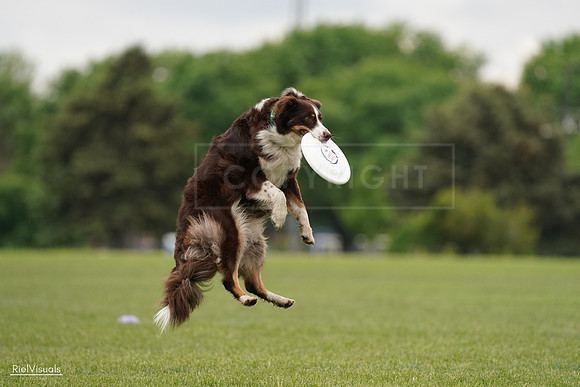 RielVisuals_20240527_132409_SJR09636