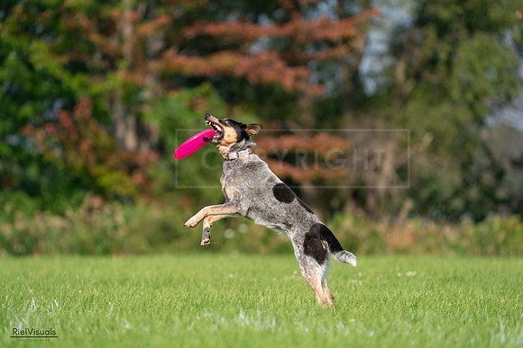 RielVisuals_20240727_093942_SJR07160