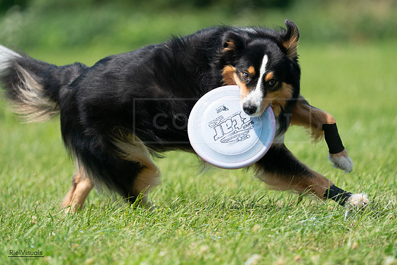 RielVisuals_20240728_114729_SJR01969