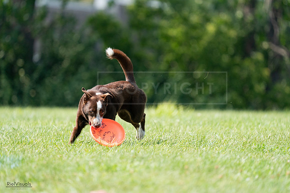 RielVisuals_20240728_152049_SJR00640