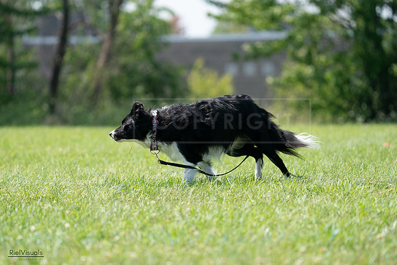 RielVisuals_20240728_152235_SJR00692
