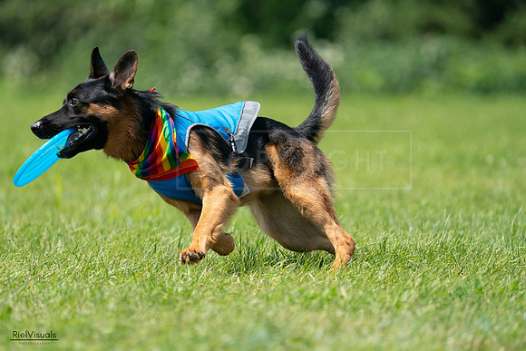 RielVisuals_20240728_123000_SJR04059